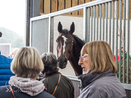 FB161021-112 - Fergal O'Brien Stable Visit